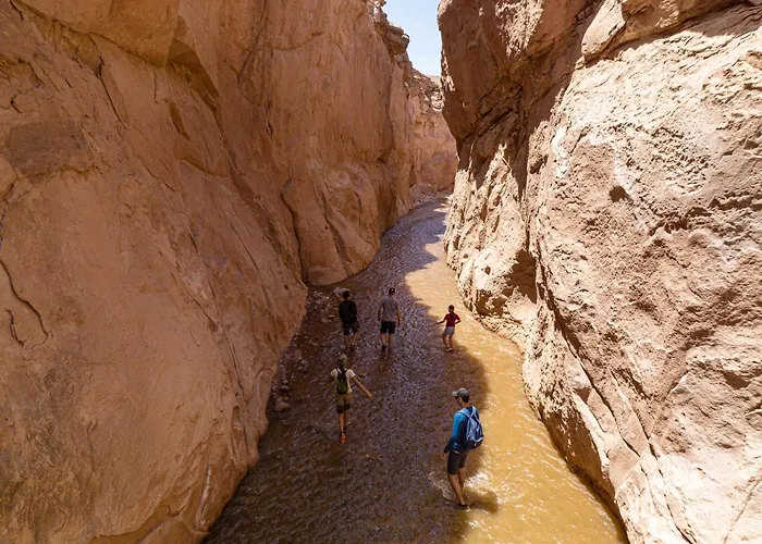 Tierra Atacama